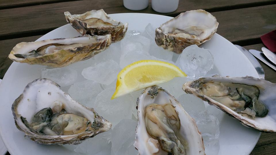 oysters.jpg