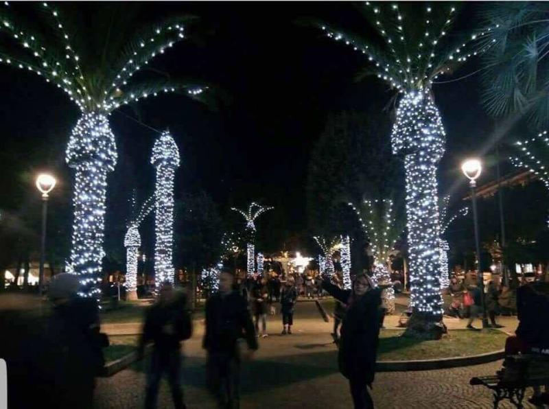 Christmas lights.jpg