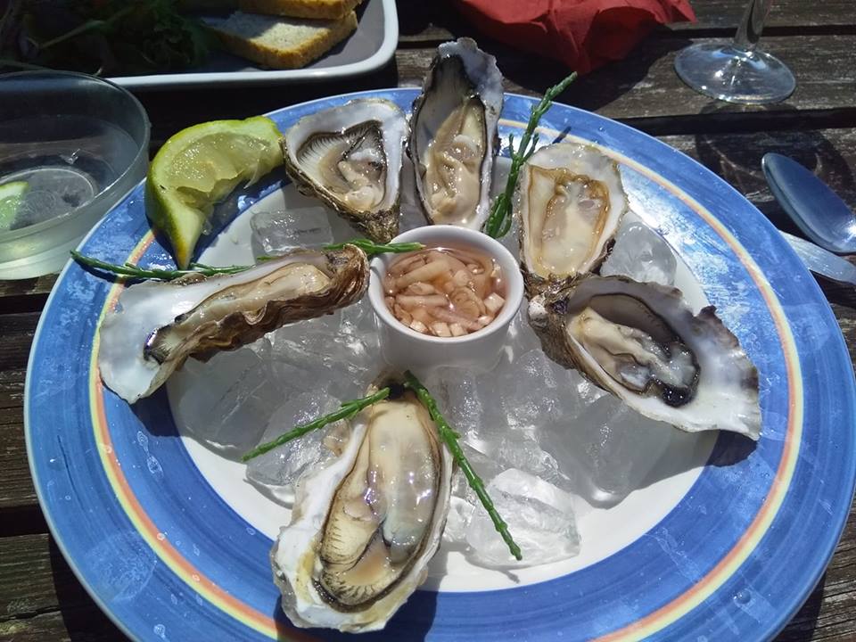 oysters.jpg